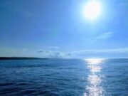 Verano gastronómico: tres destacados restaurantes en la costa atlántica