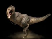 En julio de 2025 llegará una nueva entrega de “Jurassic World” y David Leitch podría ser su director