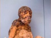 La momificación de varios animales era una característica cultural del antiguo Egipto