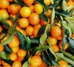 Resaltan en Alemania el rol de la Argentina en la cadena de valor de minerales críticos