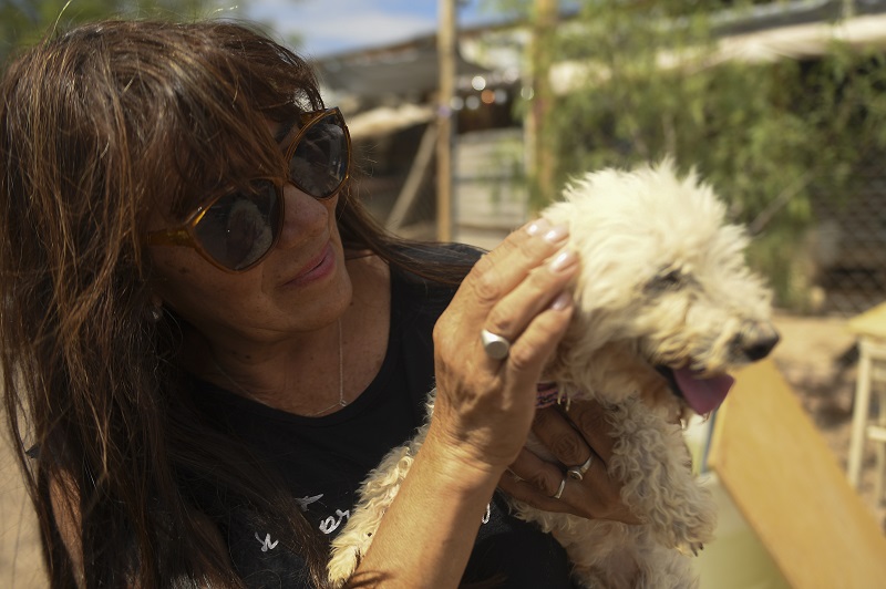 fotorefugio-perrito2