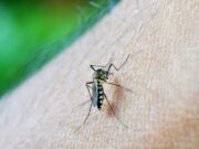 Dengue: Habilitan en la Ciudad 18 unidades de atención febriles