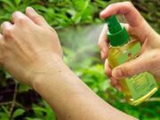 Ante la falta de Repelentes te acercamos una oportunidad totalmente casera