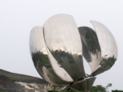 La Flor del barrio de Palermo perdió otro pétalo luego de las tormentas