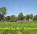 Gran preocupación de los productores por cómo impactarán las variables económicas en su rentabilidad