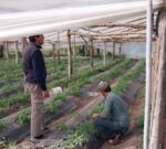 Corrientes: preocupación por el cierre del Instituto Nacional de Agronomía Familiar