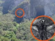 ¿Quién es el Hombre Pájaro u Hombre Polilla? , la misteriosa criatura que presagia catástrofes