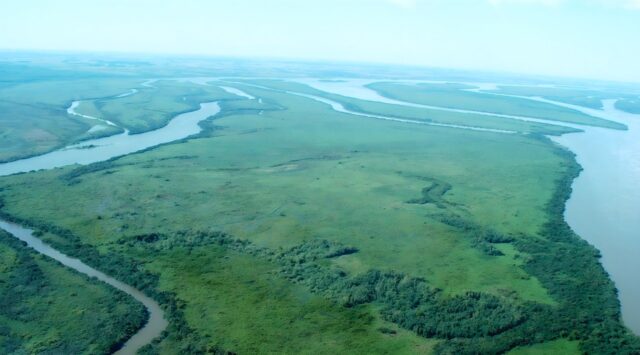 herramienta-argentina-para-proteger-el-medio-ambiente