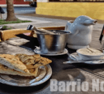 Llega a la Ciudad la segunda edición de “Pintó Bodegón”