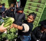 “Verdurazo solidario contra el ajuste” en Plaza Congreso