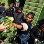 fotogenteverduras1-150x150-1