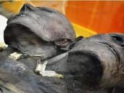 Los restos momificados de un gigante de 3,66 metros con dos cabezas