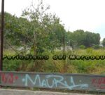 Vacuna contra el dengue: precio y qué prepagas la cubren