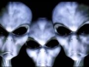 Los Grises son la raza mas conocida dentro del campo de investigación OVNI