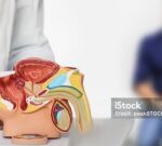 El tacto rectal de la próstata debe hacerse con cuidado y dulzura