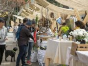 Villa Devoto será el centro de la sostenibilidad con la Ecoferia Ofelia