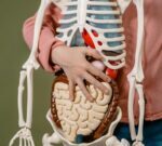 Donación de órganos y Dengue