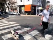 La insólita mascota que sorprendió en Palermo y enloqueció las redes