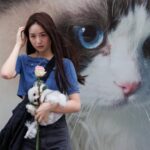 fotoChina-gatos-perros1-150x150-1