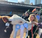 Javier Milei en La Rural: la ovación a un ganadero uruguayo que pidió que “le saquen la picana de las costillas al productor agropecuario argentino”