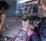 La Ciudad lleva sus oficinas móviles a Recoleta