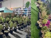 Cae organización que vendía “dulces mágicos” en redes sociales