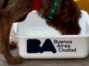 Las Estaciones Saludables impulsan el cuidado responsable de perros y gatos