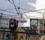 Expo ITEC Cicaré: Dos días de innovación y conocimiento en Saladillo