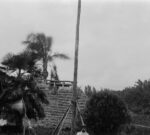 Retratos anfibios podrá verse en el Complejo teatral Buenos Aires