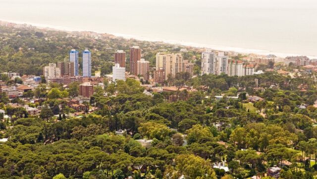 pinamar-aerea