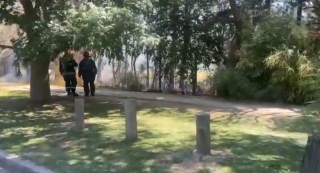 Bomberos-controlaron-un-incendio-en-el-historico-golf-de-Palermo