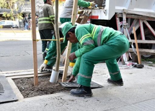 La Ciudad aumentó un 50% el arbolado urbano en un año récord