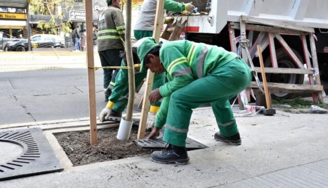 Con-mas-de-18.000-nuevos-ejemplares-plantados-la-Ciudad-completo-el-Plan-de-Arbolado-2024-scaled-1