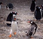 Los destinos más solicitados y los más insólitos para visitar durante las fiestas