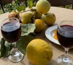 Qué es la acidez en los vinos y cómo hay que reconocerla