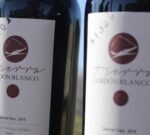 Los vinos bonaerenses tienen identidad propia