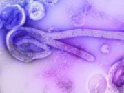 Cómo evitar la contaminación ambiental por desechos de mascotas