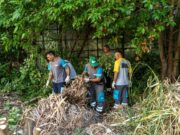 La Ciudad intensifica la lucha contra plagas y basura
