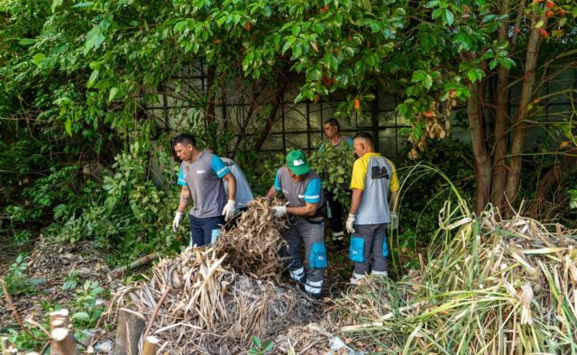 La-Ciudad-intensifica-la-lucha-contra-plagas-y-basura