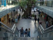 Cómo optimizar el tiempo en vacaciones sin perder descanso