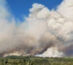 Los incendios en la Patagonia no se detienen y afectan a más de 20.000 hectáreas