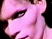 La secta que obedecía a la morsa