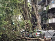 Villa Luro: Una antena de 20 metros colapsó y causó graves daños