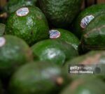 Cómo saber si las paltas son maduras