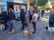 Vacunación y desparasitación con postas móviles en la Ciudad