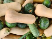 Curso gratuito de agricultura urbana en el sur de la Ciudad