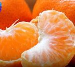 Los beneficios de comer la noble fruta de la mandarina en invierno