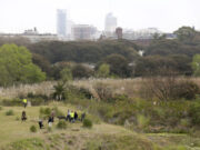 Propuestas gratuitas para todas las edades en reservas y jardines de la Ciudad