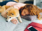 Un estudio indica que Las mujeres duermen mejor con perros que con humanos