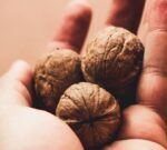 El consumo de nueces reduce el riesgo de padecer cáncer de Colón